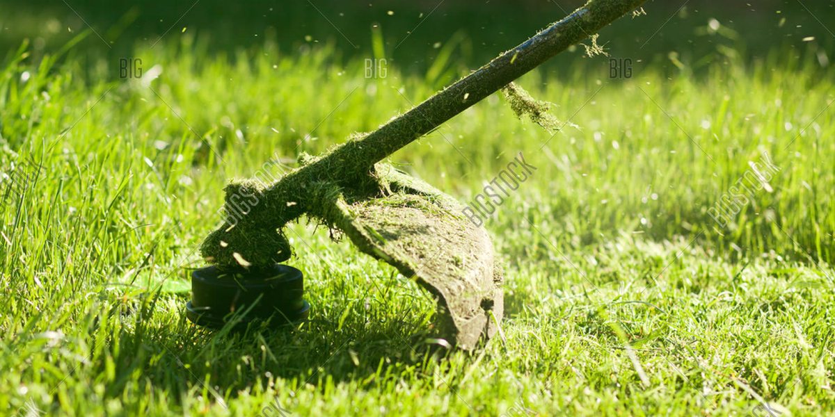 featured-landscaping
